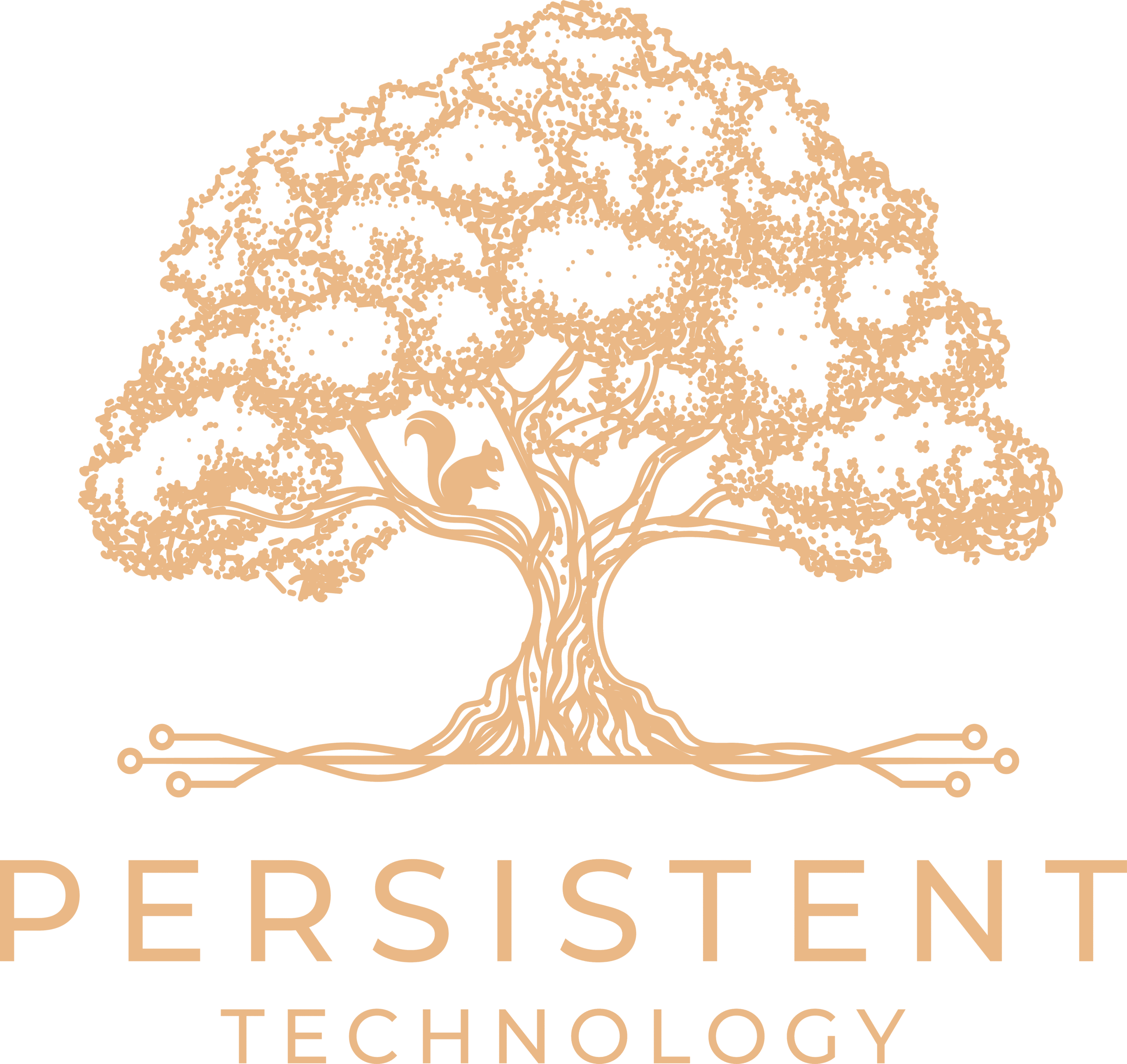 pti logo eab888 (1)